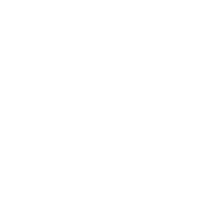 Northern International Trading Co Ltd